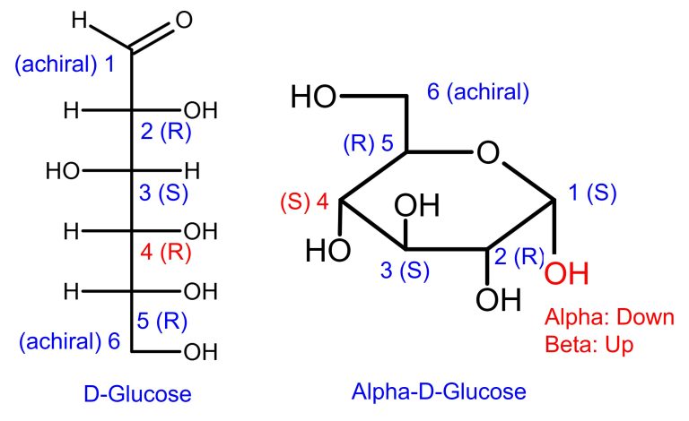 Haworth Projection Fischer Projection R S Configuration D-Glucose 1